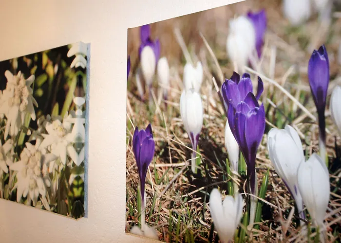 Randolins מלון 3*